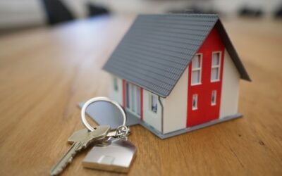 Homeowner’s Ultimate Guide: Water Damage Repair & Restoration