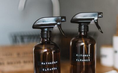 Does Vinegar Kill Mold? Texas Residents’ Most Asked Questions