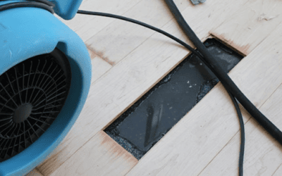 Swift Solutions: Residential Water Removal Services That Restore Comfort