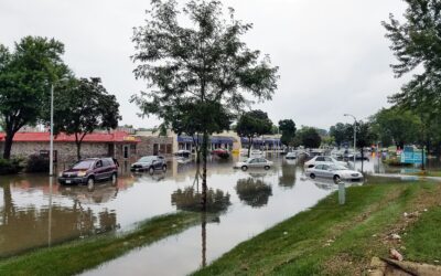 Navigating Flood Restoration in Dallas: What You Need to Know