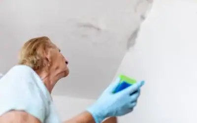 How Long Does It Take for Mold to Grow After Water Damage?