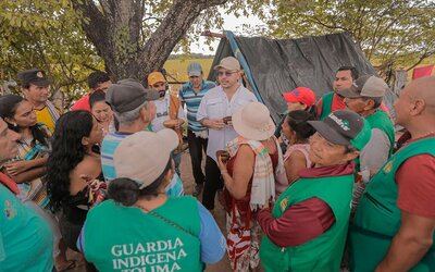 Tolima: 360 hectáreas del narcotráfico, a manos campesinas e indígenas