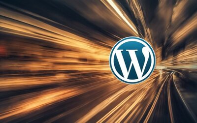 WordPress: Von den Anfängen bis zur Weltspitze