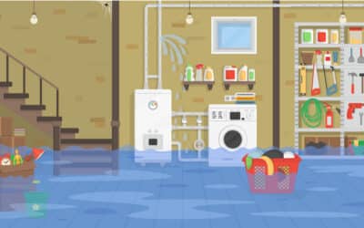 What Should I Do Immediately After My Basement Floods in Eastern CT