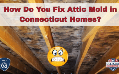 How Do You Fix Attic Mold in Connecticut Homes?