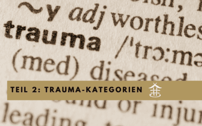 Resilienzförderung in der Praxis | Trauma-informed arbeiten Teil 2: Trauma-Kategorien