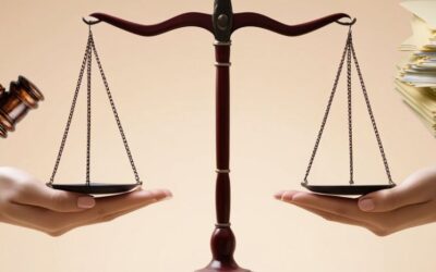 Die Justiz in Deutschland – SG 313