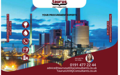 How Will Taurus Make Your Business More Profitable for 2026-2030?