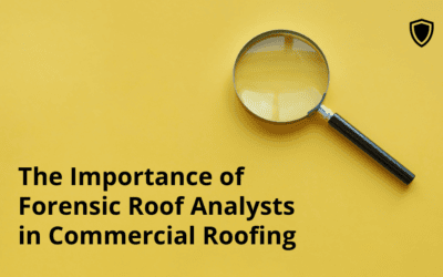 The Importance of Forensic Roof Analysts in Commercial Roofing 
