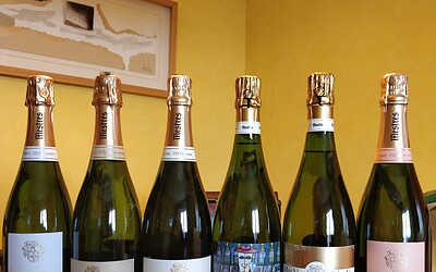 Cavas catados de Celler Mestre
