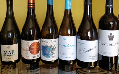 Vinos de pago del Marco