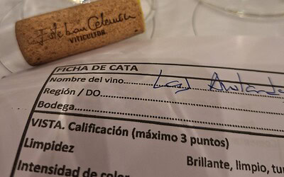 Fichas de cata