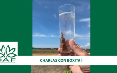 CHARLAS CON BOXITA I: somos un vaso que la vida nos llena de porquería