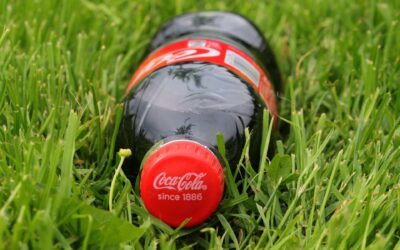 La bottiglia di Coca-Cola diventa un pezzo di casa