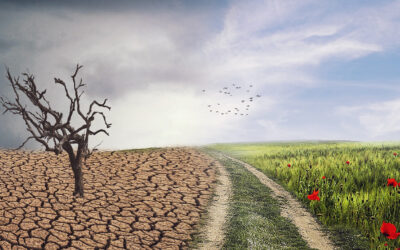 What is the difference between climate adaptation and climate migitation?