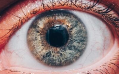 Understanding AMD & Low Vision Awareness Month