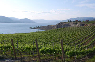 Naramata wineries