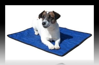 mantas para perros moldes