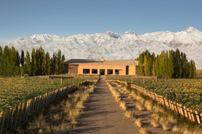 What a view, high altitude wine tours always provide spectacular vistas