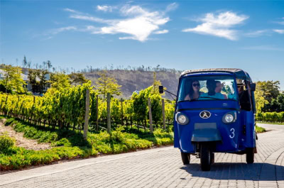 Wine tasting in Stellenbosch and Franschhoek