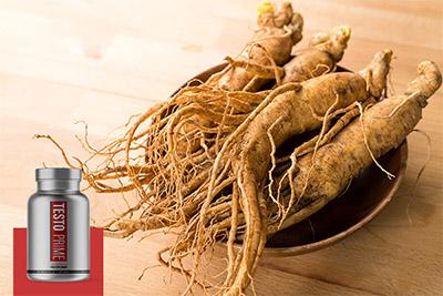 Panax Ginseng