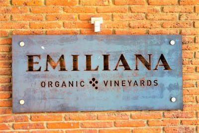 The largest extension of organic vineyards in the world, Emiliana in Casablanca Valley, Chile