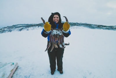 King crab safari in Kirkenes