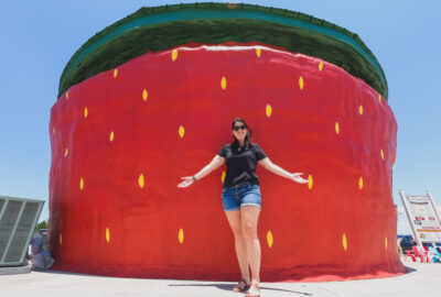 Worlds Largest Strawberry Building