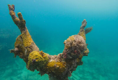 How to see the Christ of the Abyss statue