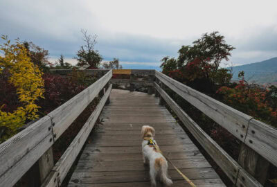 Here's a detailed guide with everything you need to know about how to spend a weekend in Banner Elk, North Carolina.