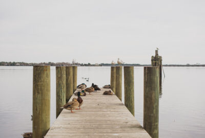 Day trip to New Bern
