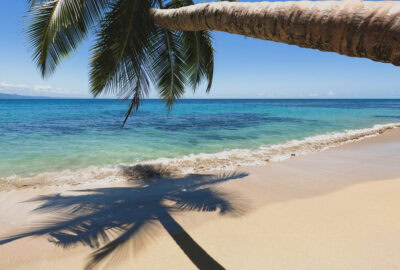 best things to do in Puerto Viejo