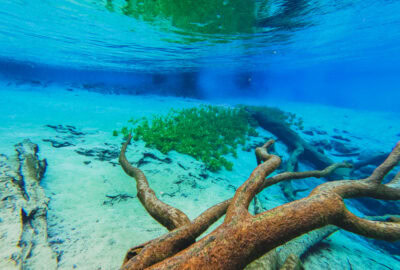 How to get to Cypress Spring without a tour