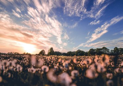 Bu haberin fotoğrafı yok