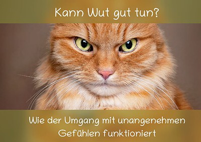 Kann Wut gut tun?