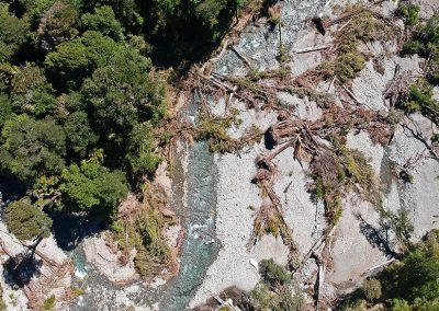 Cementerio árboles Cauce río Pitote, Lago Chapo, Evidencia del daño ambiental