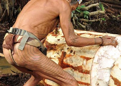 Mandara homme fleur éco-tourisme indonésie