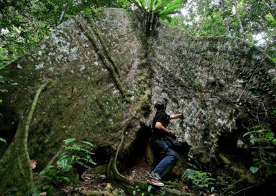 Mandara jungle éco-tourisme indonésie