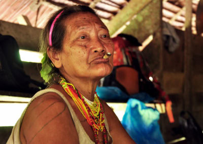 Mandara siberut éco-tourisme indonésie