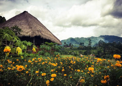Mandara cottage éco-tourisme indonésie