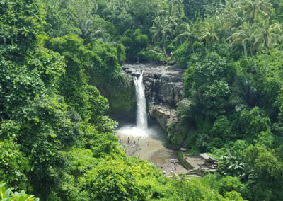 Mandara bali éco-tourisme indonésie