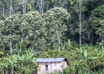 Mandara lore lindu éco-tourisme indonésie