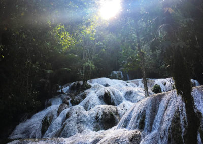 Mandara sulawesi éco-tourisme