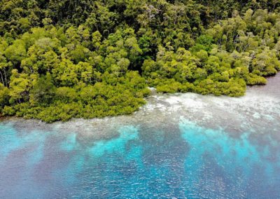 Mandara raja ampat éco-tourisme