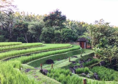 Mandara rizière bali éco-tourisme