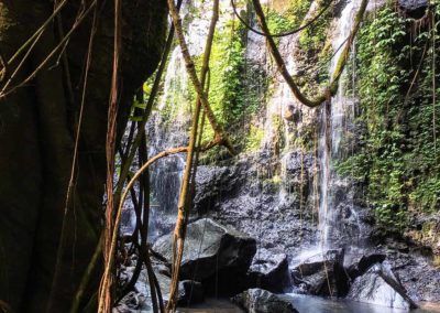 Mandara bali éco-tourisme