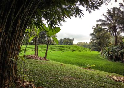 Mandara bali éco-tourisme