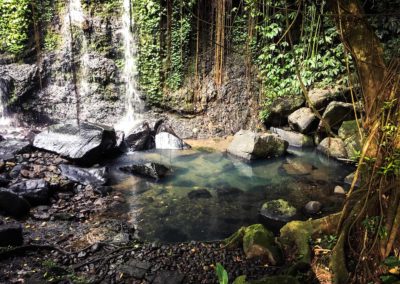 Mandara bali éco-tourisme