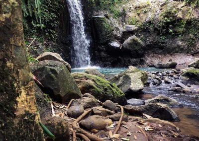 Mandara éco-tourisme