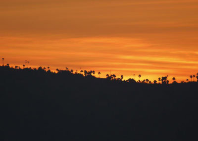Komodo, voyage photo - copyright Jonathan Lhoir